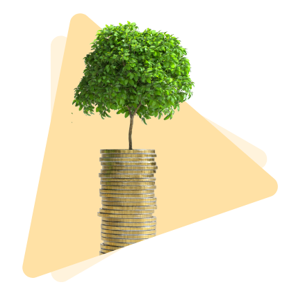 گزارشات مالی