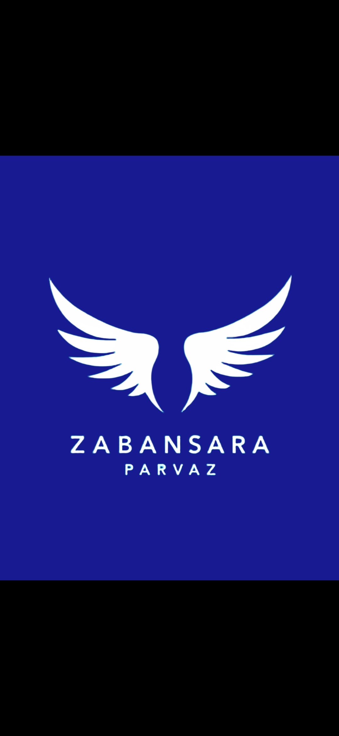 زبانسرا پرواز - لنمیس