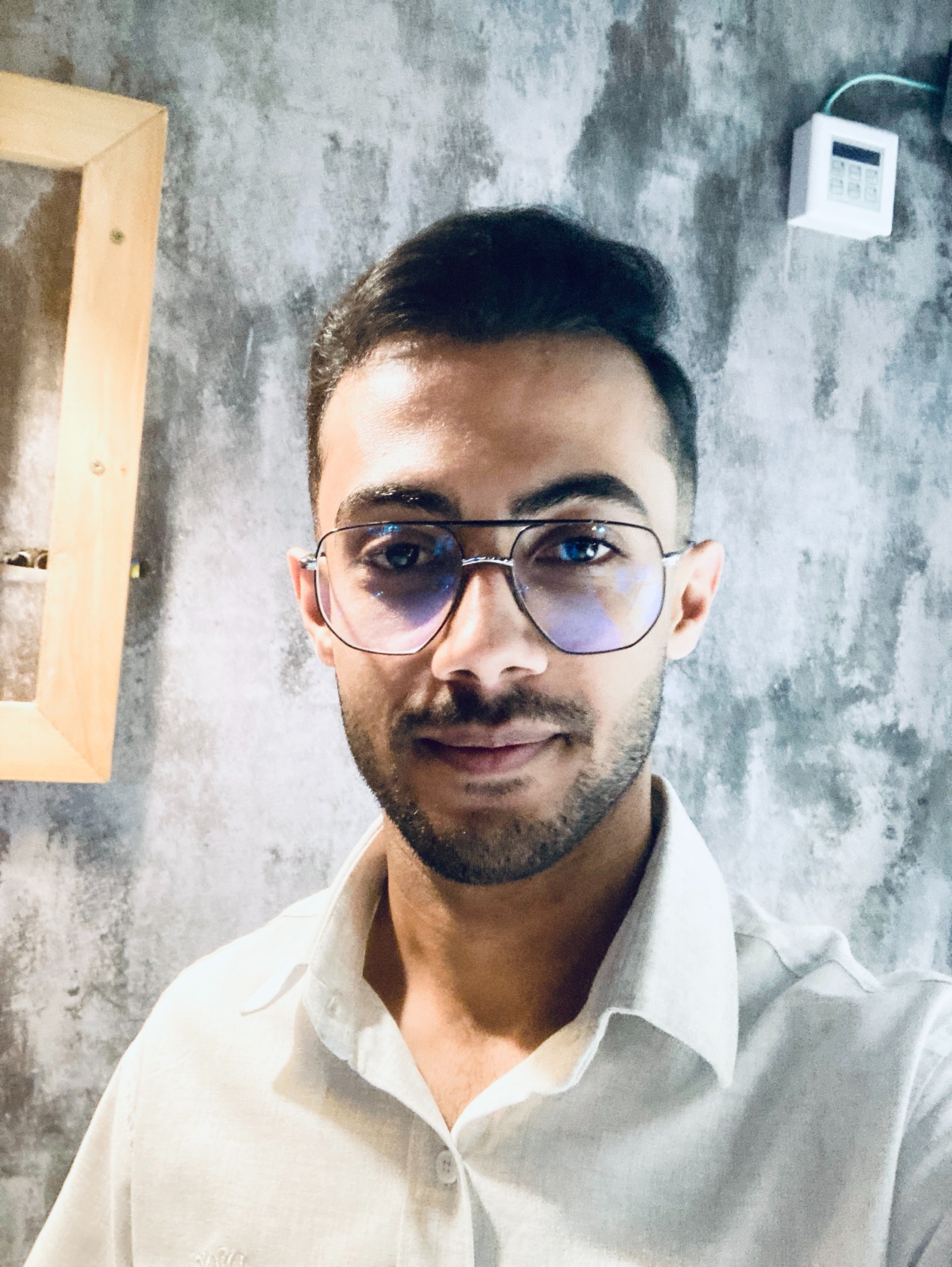 امیرحسین زائر